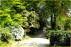 Cornwall Tourism Magazine - Meudon Hotel Garden - small